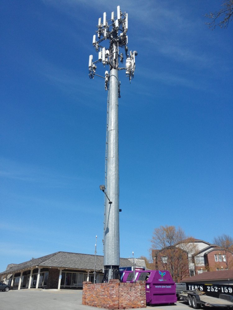 GBM POLE